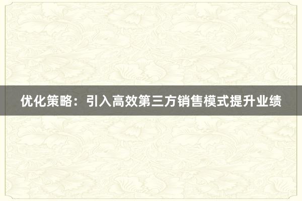 优化策略：引入高效第三方销售模式提升业绩